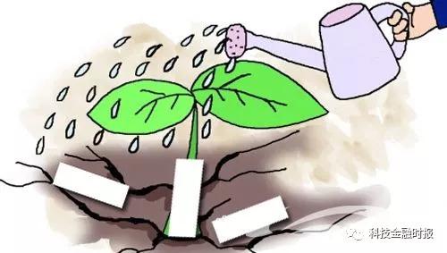华夏万家最新动态获取与利用指南，最新消息一网打尽