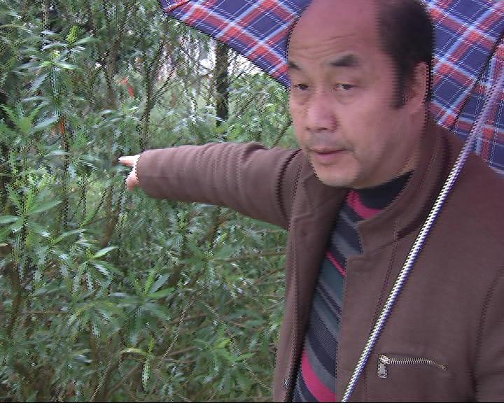江西宜春车祸最新新闻