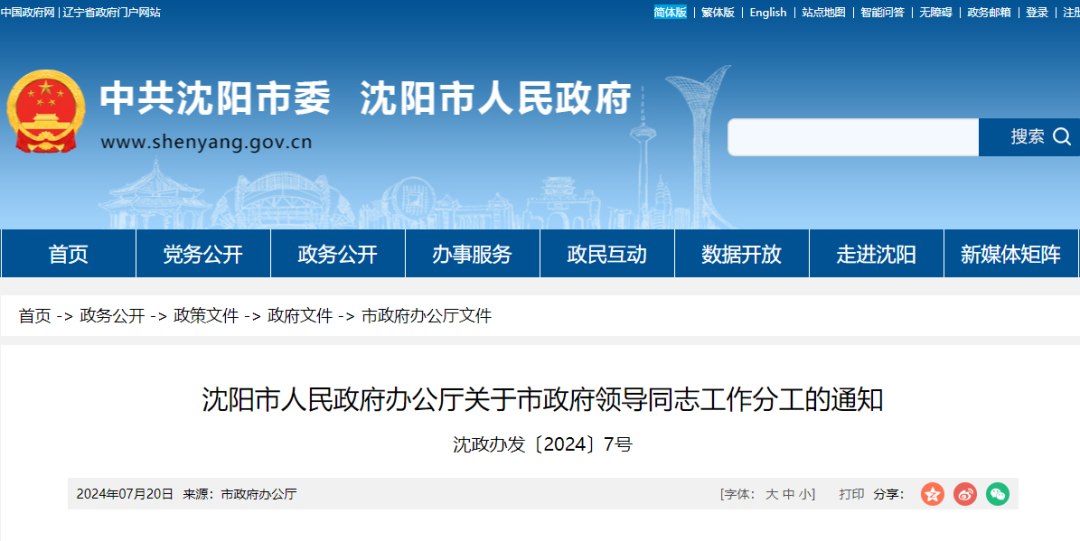 沈阳市市长最新分工详解，全面指南